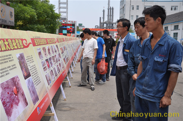 sunbet官网-不凡成就非凡,相信品牌的力量